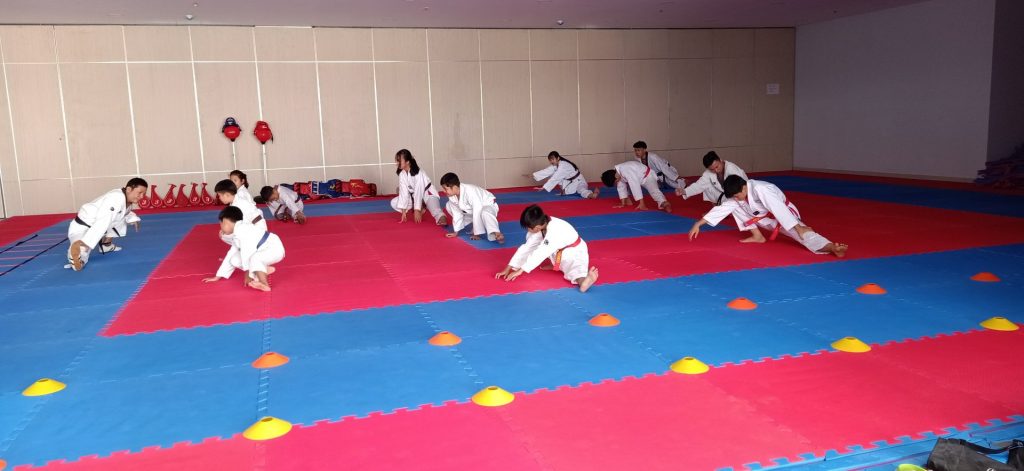Taekwondo gò vấp | Trường Hải - CLB Trường Hải - Chuỗi CLB
